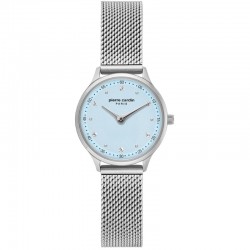 Наручные часы Pierre Cardin A.PC902682F301
