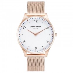 Наручные часы Pierre Cardin A.PC902711F203