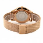 Rokas pulkstenis Pierre Cardin A.PC902731F03 Pierre Cardin A.PC902731F03