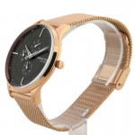 Rokas pulkstenis Pierre Cardin A.PC902731F03 Pierre Cardin A.PC902731F03