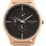 Rokas pulkstenis Pierre Cardin A.PC902731F03 Pierre Cardin A.PC902731F03
