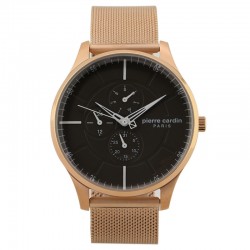 Rokas pulkstenis Pierre Cardin A.PC902731F03