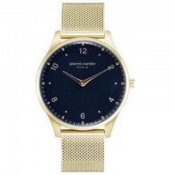 Наручные часы Pierre Cardin A.PC902711F202