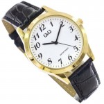Rokas pulkstenis Q&Q C00A-007PY Q&Q C00A-007PY