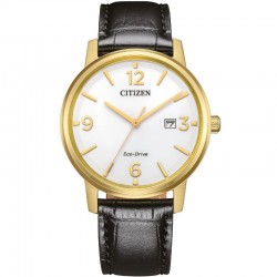 Citizen BM6756-01A watch