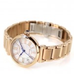 Rokas pulkstenis Citizen EM1063-89D Citizen EM1063-89D