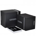 Citizen EL3100-55W
