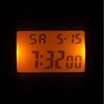Casio LW-205H-4AEF