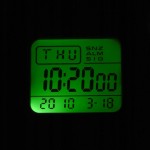 Casio W-800H-2AVES