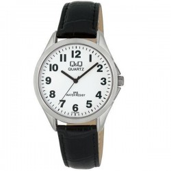 Rokas pulkstenis Q&Q C192J304Y