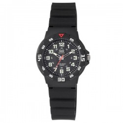 Rokas pulkstenis Q&Q VR19J001Y
