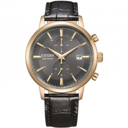 Rokas pulkstenis Citizen CA7067-11H