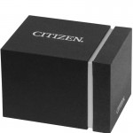 Citizen FE2110-81A