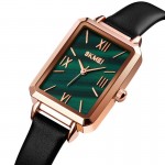 Наручные часы SKMEI 1706GN SKMEI 1706GN