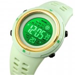 Наручные часы SKMEI 1773GN SKMEI 1773GN