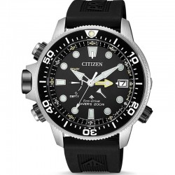 Наручные часы Citizen BN2036-14E