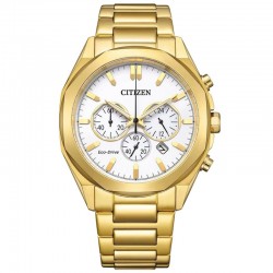 Rokas pulkstenis Citizen CA4592-85A
