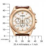 Citizen CA4593-15A