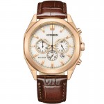 Citizen CA4593-15A