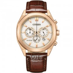 Citizen CA4593-15A watch