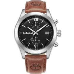 Rokas pulkstenis Timberland TDWGC0075201