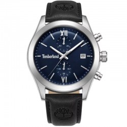 Timberland TDWGC0075203 watch
