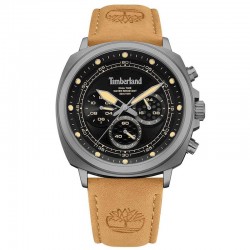Timberland TDWGF0042002 watch