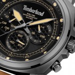 Timberland TDWGF0042002 watch Timberland TDWGF0042002