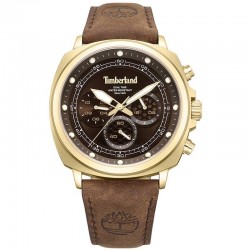 Timberland TDWGF0042003 watch
