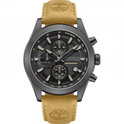 Timberland TDWGF0095102 watch