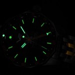 Vostok Europe NH34-224A793BR