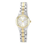 Sieviešu rokas pulkstenis Anne Klein 10/5491SVTT Sieviešu rokas pulkstenis Anne Klein 10/5491SVTT