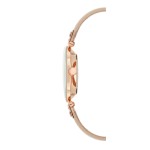 Women's watch Anne Klein 10/9918RGLP