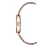 Женские часы Anne Klein AK/1018RGMV