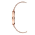 Women's watch Anne Klein AK/1018RGTN