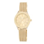 Женские часы Anne Klein AK/2208CHGB