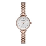 Женские часы Anne Klein AK/2662SVRG