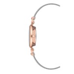 Sieviešu rokas pulkstenis Anne Klein AK/3003SVRT