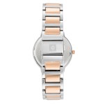 Sieviešu rokas pulkstenis Anne Klein AK/3449NVRT