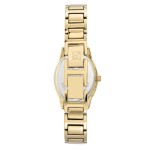 Sieviešu rokas pulkstenis Anne Klein AK/3496CHGB