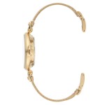 Sieviešu rokas pulkstenis Anne Klein AK/3552GBST