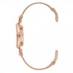 Женские часы Anne Klein AK/3552RGST
