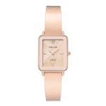 Женские часы Anne Klein AK/3600BMRG