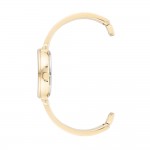 Women's watch Anne Klein AK/3620CRST
