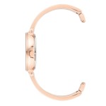 Женские часы Anne Klein AK/3620WTST