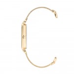 Women's watch Anne Klein AK/3642GBST