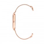 Sieviešu rokas pulkstenis Anne Klein AK/3642RGST