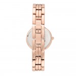 Women's watch Anne Klein AK/3656MPRG