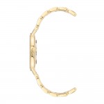 Women's watch Anne Klein AK/3680MPGB