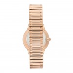 Women's watch Anne Klein AK/3684SVRG